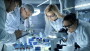 Bernstein belässt Bayer auf 'Market-Perform' - Ziel 30 Euro () | aktiencheck.de